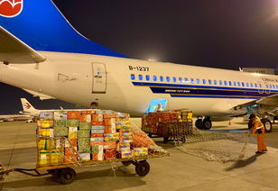 端午产品搭南航 飞的 献礼佳节