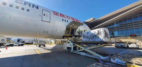 wargaming千里驰援火神山 新浪游戏 手机新浪网