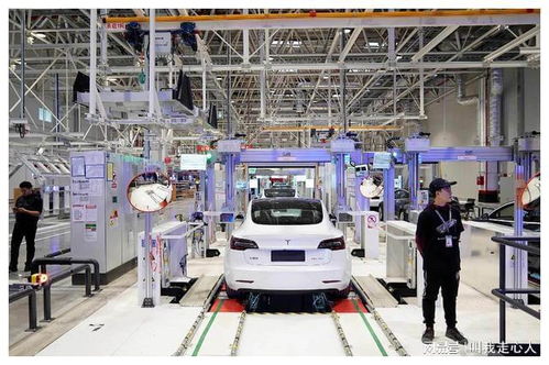 多次表态中国必将统一,质疑美政府干涉台湾,马斯克为何这样做