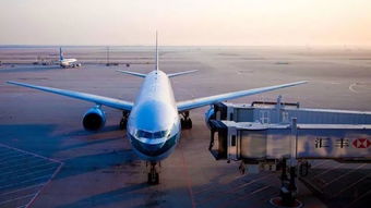 货物从香港转向内地,上海航空货运价格上涨