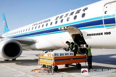 “若羌红枣号”航空货运专班首发 3吨若羌冬枣飞往杭州