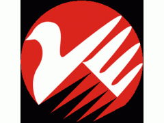 专业货运代理中港专营