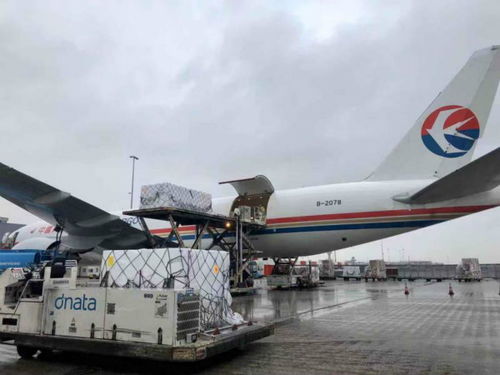 上海浦东机场海关受理放行空运第1000票抗疫捐赠物资