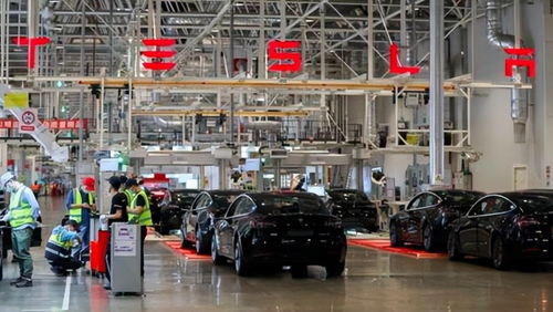 特斯拉上海超级工厂扩建零部件生产项目,为了出口业务
