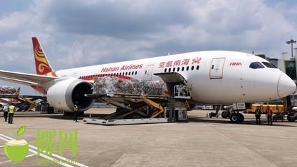 海南迎来荔枝季 海航投入40余架次宽体机“直飞带货”