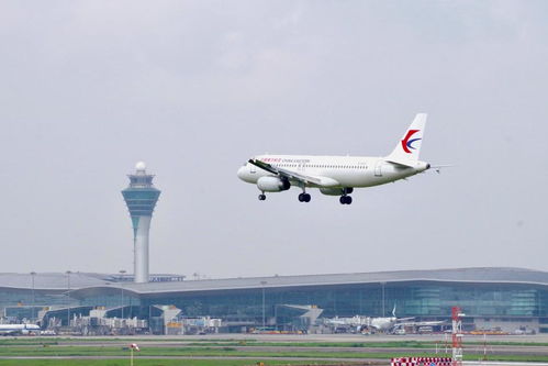 打造航空运输超级承运人,看东航这样出实招 上海新质观