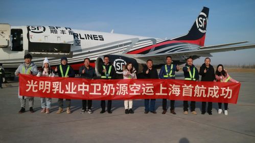 荒芜沙地变身 奶牛乐园 ,宁夏中卫奶空运入沪成上海鲜奶