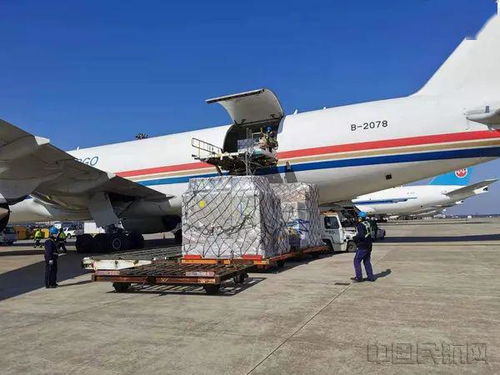 东航全货机月度盈利创新高 上海空运的强劲引擎